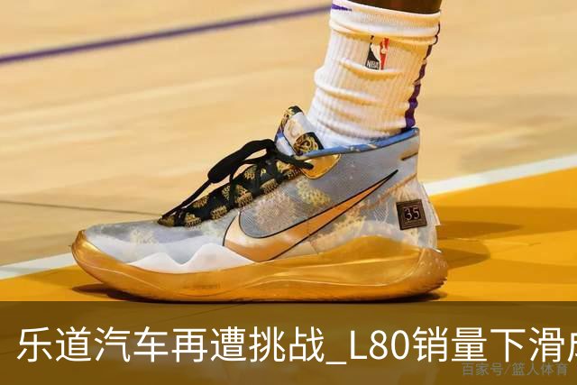 乐道汽车再遭挑战 L80销量下滑成市场困境新拷问